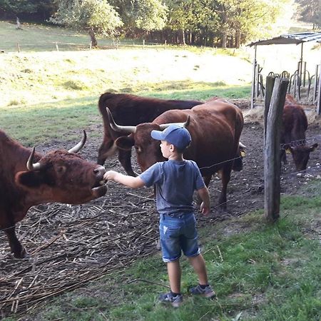 Ferienhaus Dorfschmiede Schönau Eksteriør billede